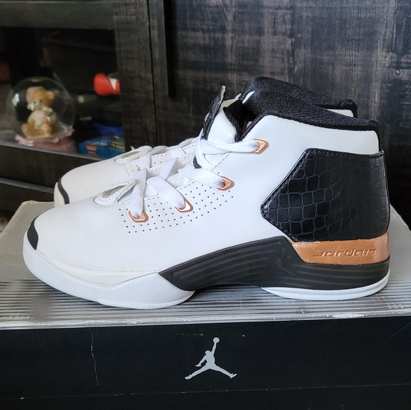 Jordan Other - 2002 Air Jordan 17+ PS Copper